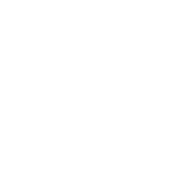 Rorshok